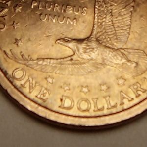 2000 Sacagawea error